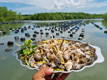 Những điểm thưởng thức hải sản tại Cần Giờ