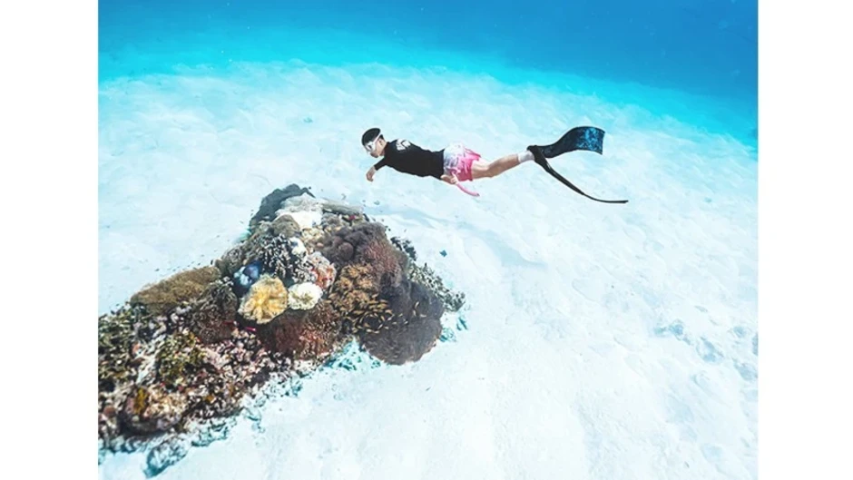 Những thước phim dưới đại dương