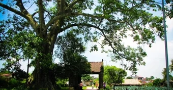 Những tour du lịch 0 đồng quanh Hà Nội dịp 2/9