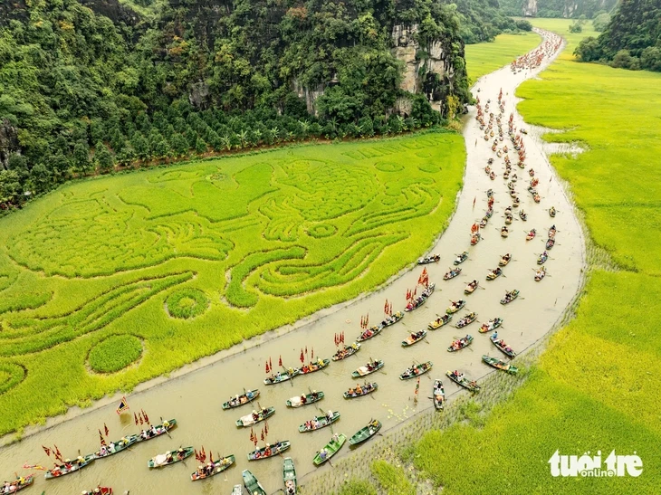 Ninh Bình mời gọi du khách về ngắm mùa vàng Tam Cốc Ninh Bình mời gọi du khách về ngắm mùa vàng Tam Cốc