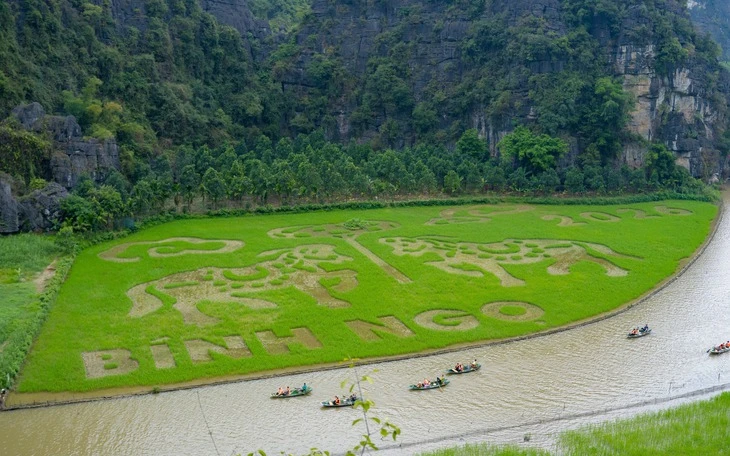 Ninh Bình mời gọi du khách về ngắm mùa vàng Tam Cốc Ninh Bình mời gọi du khách về ngắm mùa vàng Tam Cốc