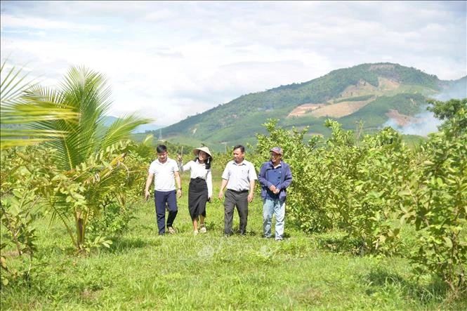 Nông trại Phạm Văn Đồng - 'địa chỉ đỏ' mở hướng phát triển du lịch xanh Nông trại Phạm Văn Đồng - 'địa chỉ đỏ' mở hướng phát triển du lịch xanh