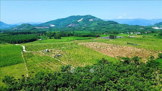 Nông trại Phạm Văn Đồng - 'địa chỉ đỏ' mở hướng phát triển du lịch xanh Nông trại Phạm Văn Đồng - 'địa chỉ đỏ' mở hướng phát triển du lịch xanh