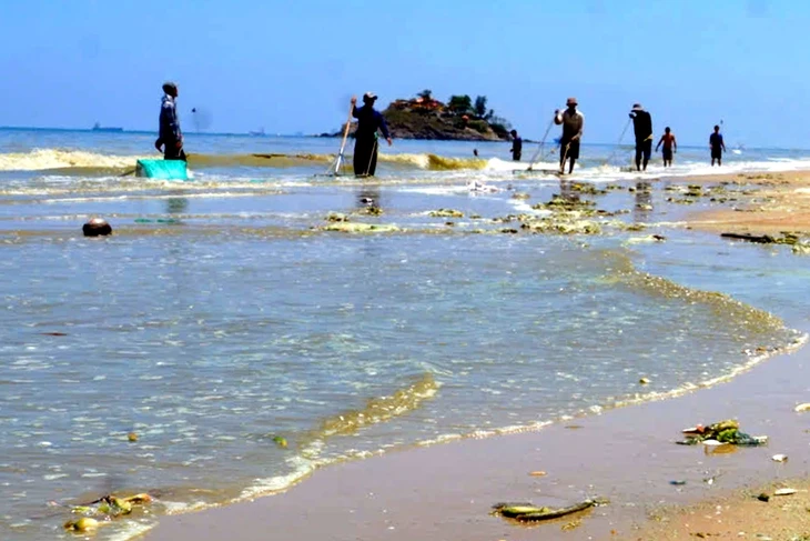 Nước biển ở Vũng Tàu đổi màu xanh, tím nghi do vi tảo Nước biển ở Vũng Tàu đổi màu xanh, tím nghi do vi tảo