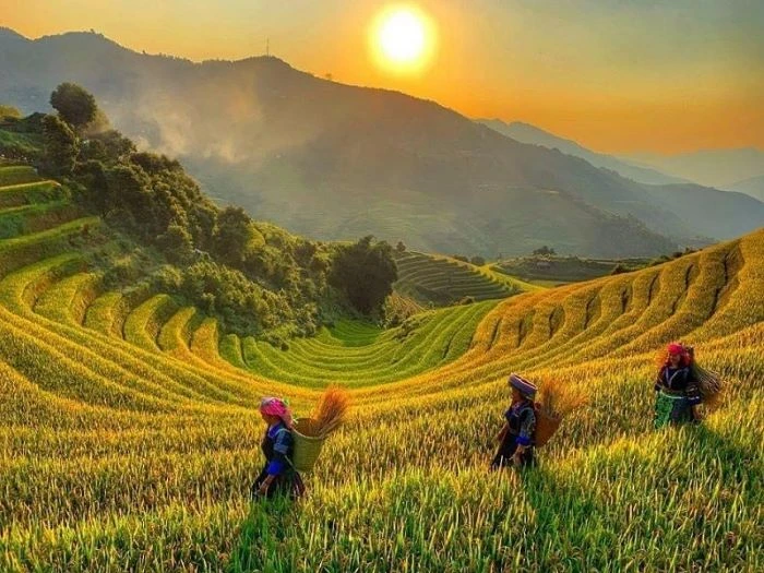 Phát hiện dân tộc La Chí có Tết tháng Bảy và ruộng bậc thang đẹp nhất thế giới Phát hiện dân tộc La Chí có Tết tháng Bảy và ruộng bậc thang đẹp nhất thế giới
