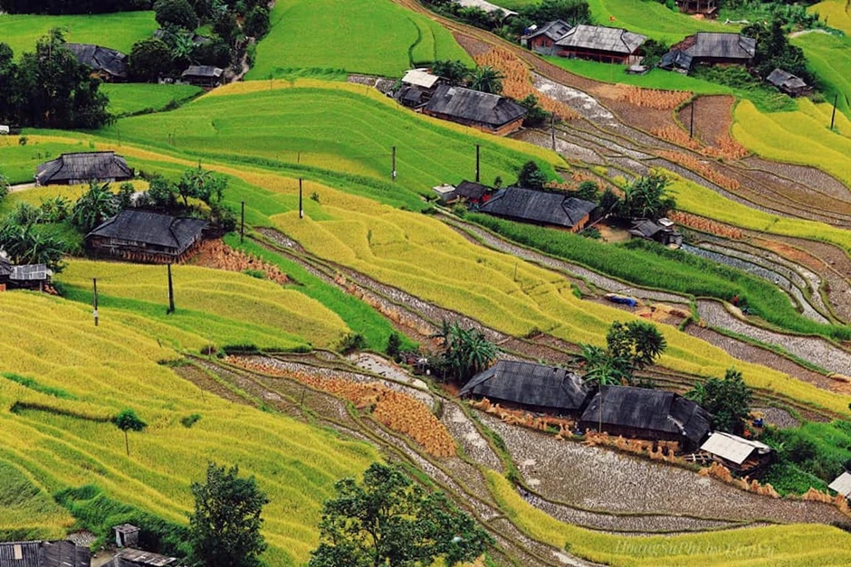 Phát hiện dân tộc La Chí có Tết tháng Bảy và ruộng bậc thang đẹp nhất thế giới Phát hiện dân tộc La Chí có Tết tháng Bảy và ruộng bậc thang đẹp nhất thế giới