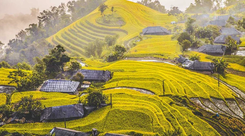 Phát hiện dân tộc La Chí có Tết tháng Bảy và ruộng bậc thang đẹp nhất thế giới Phát hiện dân tộc La Chí có Tết tháng Bảy và ruộng bậc thang đẹp nhất thế giới