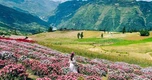 Phát hiện địa danh Việt Nam lọt Top 10 đẹp nhất thế giới, có thảo nguyên rộng 90 ha như "Thụy Sĩ thu nhỏ"