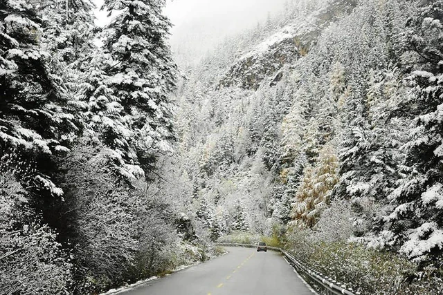 Phát hiện đỉnh núi cao 1.931 m ở Việt Nam, từng lạnh -9°C, mùa đông phủ băng trắng đẹp như châu Âu