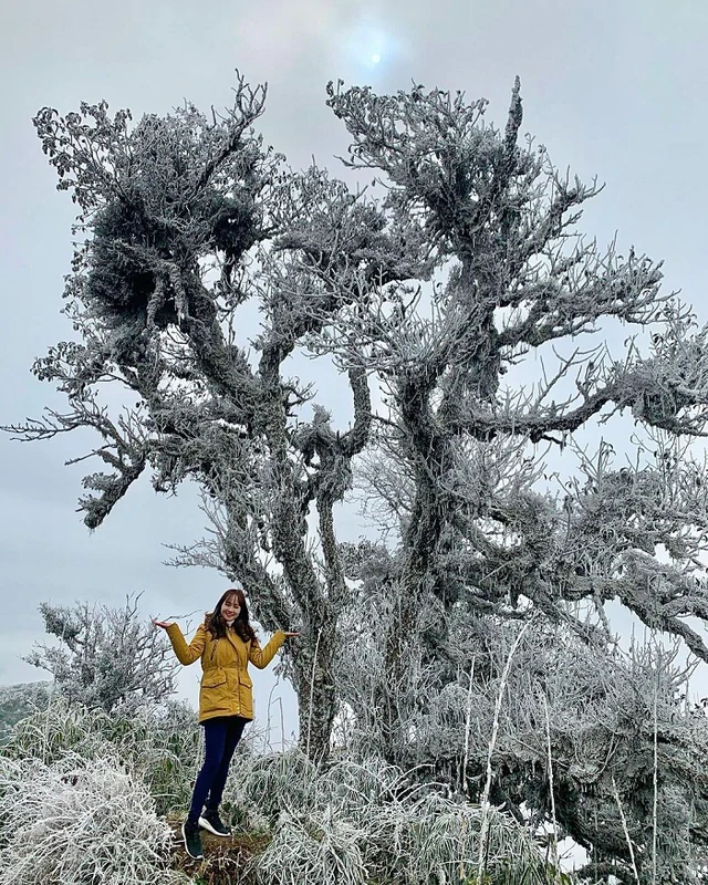 Phát hiện đỉnh núi cao 1.931 m ở Việt Nam, từng lạnh -9°C, mùa đông phủ băng trắng đẹp như châu Âu