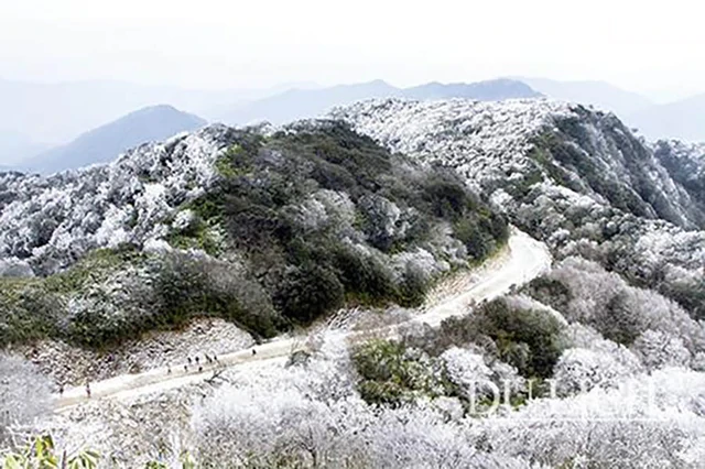Phát hiện đỉnh núi cao 1.931 m ở Việt Nam, từng lạnh -9°C, mùa đông phủ băng trắng đẹp như châu Âu