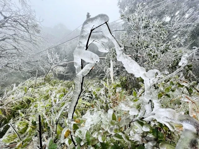 Phát hiện đỉnh núi cao 1.931 m ở Việt Nam, từng lạnh -9°C, mùa đông phủ băng trắng đẹp như châu Âu