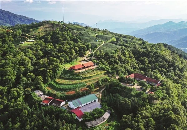Phát hiện đỉnh núi cao 1.931 m ở Việt Nam, từng lạnh -9°C, mùa đông phủ băng trắng đẹp như châu Âu