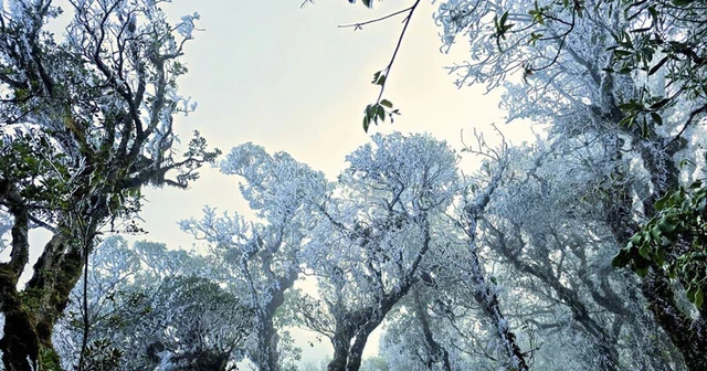 Phát hiện đỉnh núi cao 2.860 m ở Việt Nam, từng lạnh -5°C, mùa đông băng phủ trắng đẹp như trời Âu