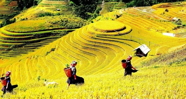 Phát hiện đỉnh núi cao 2.860 m ở Việt Nam, từng lạnh -5°C, mùa đông băng phủ trắng đẹp như trời Âu