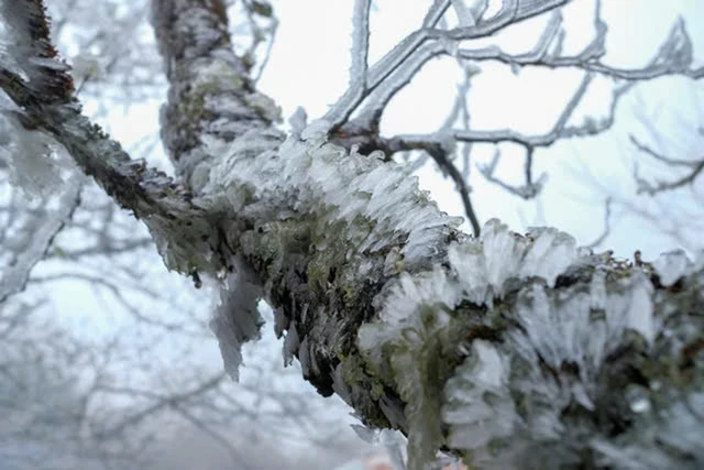 Phát hiện đỉnh núi cao 2.860 m ở Việt Nam, từng lạnh -5°C, mùa đông băng phủ trắng đẹp như trời Âu