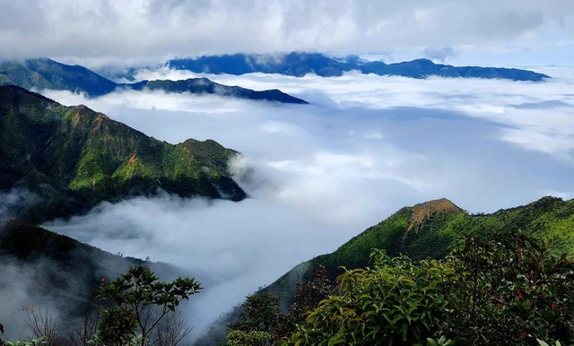Phát hiện đỉnh núi cao 3.143 m ở Việt Nam, từng lạnh -8°C, mùa đông nhìn như một góc châu Âu Phát hiện đỉnh núi cao 3.143 m ở Việt Nam, từng lạnh -8°C, mùa đông nhìn như một góc châu Âu