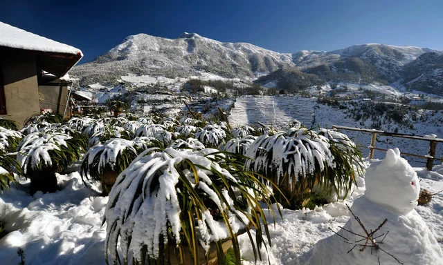 Phát hiện đỉnh núi cao 3.143 m ở Việt Nam, từng lạnh -8°C, mùa đông nhìn như một góc châu Âu Phát hiện đỉnh núi cao 3.143 m ở Việt Nam, từng lạnh -8°C, mùa đông nhìn như một góc châu Âu