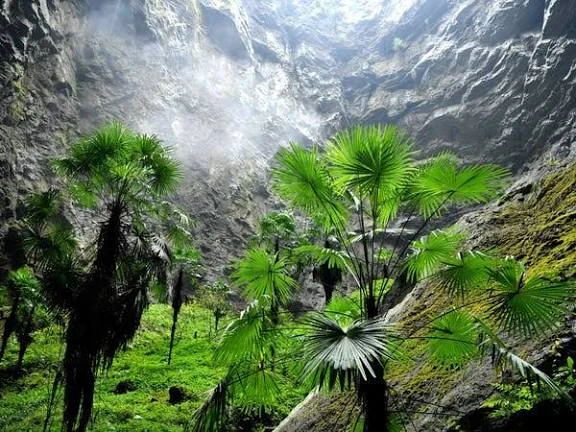 Phát hiện hố sụt khổng lồ ở nước láng giềng Việt Nam, sâu hơn 600 m và có cả rừng nguyên sinh bên dưới Phát hiện hố sụt khổng lồ ở nước láng giềng Việt Nam, sâu hơn 600 m và có cả rừng nguyên sinh bên dưới