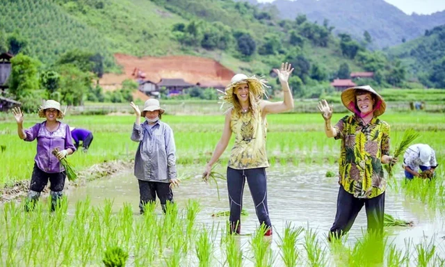 Phát hiện ngôi làng có hơn 400 căn nhà cùng quay một hướng: Cách Hà Nội 180 km và được thế giới vinh danh Phát hiện ngôi làng có hơn 400 căn nhà cùng quay một hướng: Cách Hà Nội 180 km và được thế giới vinh danh