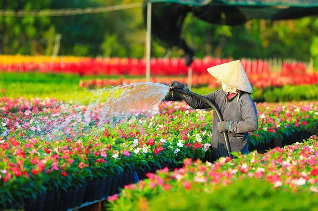 Phát hiện ngôi làng ở Việt Nam có hơn 2.000 giống hoa 'không chạm đất', mỗi lần chăm cây phải làm việc này Phát hiện ngôi làng ở Việt Nam có hơn 2.000 giống hoa 'không chạm đất', mỗi lần chăm cây phải làm việc này