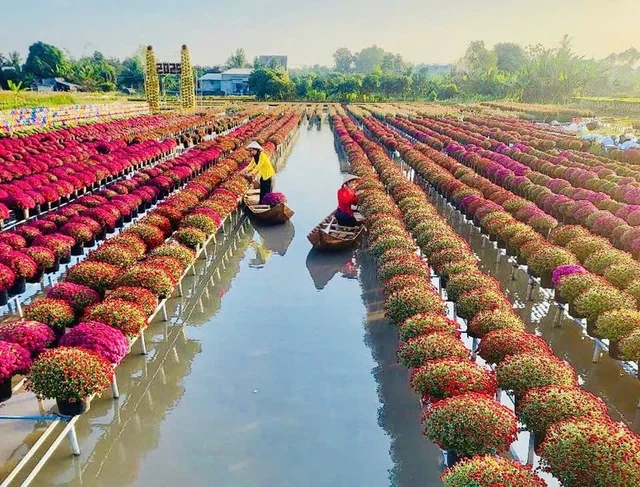 Phát hiện ngôi làng ở Việt Nam có hơn 2.000 giống hoa 'không chạm đất', mỗi lần chăm cây phải làm việc này Phát hiện ngôi làng ở Việt Nam có hơn 2.000 giống hoa 'không chạm đất', mỗi lần chăm cây phải làm việc này
