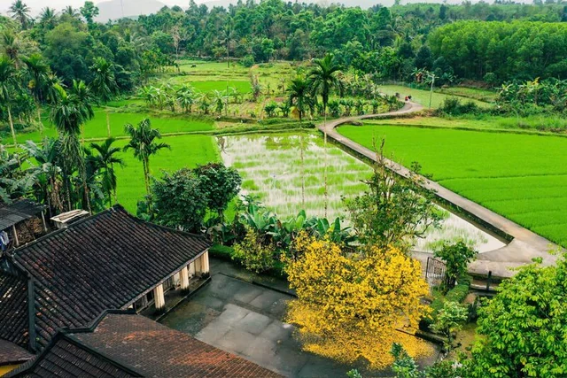 Phát hiện ngôi làng rộng hơn 270 ha có 8 nhà cổ trăm tuổi, nổi tiếng với chiếc bàn không cần đẩy vẫn xoay Phát hiện ngôi làng rộng hơn 270 ha có 8 nhà cổ trăm tuổi, nổi tiếng với chiếc bàn không cần đẩy vẫn xoay