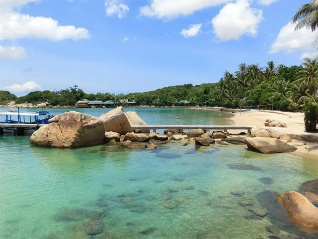 Phát hiện "đảo cá voi" ngoài đời thật ở biển miền Trung Việt Nam Phát hiện "đảo cá voi" ngoài đời thật ở biển miền Trung Việt Nam