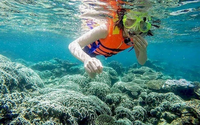 Phát hiện "đảo cá voi" ngoài đời thật ở biển miền Trung Việt Nam Phát hiện "đảo cá voi" ngoài đời thật ở biển miền Trung Việt Nam