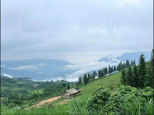 Phát hiện thảo nguyên cách Hà Nội 300 km, cảnh đẹp đến mức nhiều người ngỡ đang du lịch châu Âu Phát hiện thảo nguyên cách Hà Nội 300 km, cảnh đẹp đến mức nhiều người ngỡ đang du lịch châu Âu