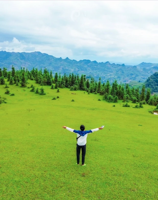 Phát hiện thảo nguyên cách Hà Nội 300 km, cảnh đẹp đến mức nhiều người ngỡ đang du lịch châu Âu Phát hiện thảo nguyên cách Hà Nội 300 km, cảnh đẹp đến mức nhiều người ngỡ đang du lịch châu Âu