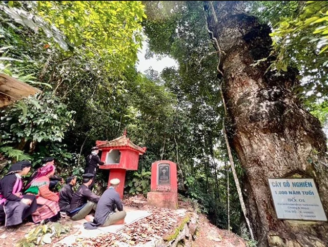 Phát hiện thảo nguyên cách Hà Nội 300 km, cảnh đẹp đến mức nhiều người ngỡ đang du lịch châu Âu Phát hiện thảo nguyên cách Hà Nội 300 km, cảnh đẹp đến mức nhiều người ngỡ đang du lịch châu Âu