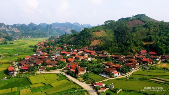 Phát hiện thảo nguyên gần 100 ha cách Hà Nội 130 km như "Mông Cổ thu nhỏ", làng đang tranh giải thế giới Phát hiện thảo nguyên gần 100 ha cách Hà Nội 130 km như "Mông Cổ thu nhỏ", làng đang tranh giải thế giới