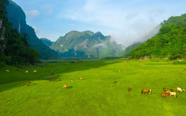 Phát hiện thảo nguyên gần 100 ha cách Hà Nội 130 km như "Mông Cổ thu nhỏ", làng đang tranh giải thế giới Phát hiện thảo nguyên gần 100 ha cách Hà Nội 130 km như "Mông Cổ thu nhỏ", làng đang tranh giải thế giới