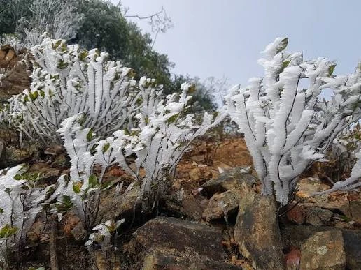 Phát hiện vùng đất miền Trung từng lạnh -8°C, tuyết phủ trắng khiến nhiều người ngỡ lạc vào rừng Bắc Âu
