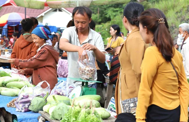 Phát hiện vùng đất miền Trung từng lạnh -8°C, tuyết phủ trắng khiến nhiều người ngỡ lạc vào rừng Bắc Âu