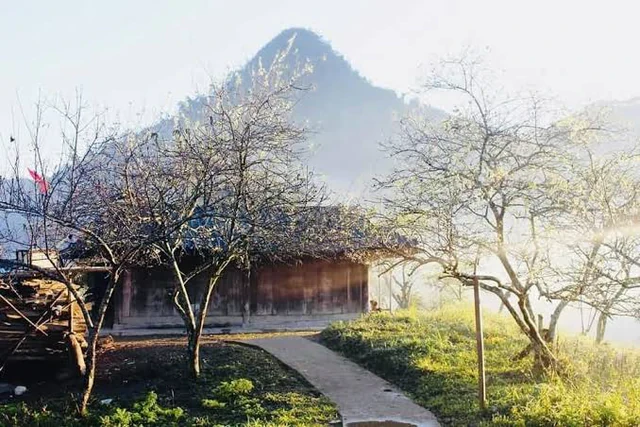 Phát hiện vùng đất miền Trung từng lạnh -8°C, tuyết phủ trắng khiến nhiều người ngỡ lạc vào rừng Bắc Âu