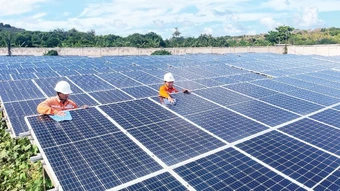 Phát huy tiềm năng du lịch đảo Phú Quý