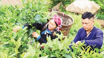 Quảng bá du lịch qua mạng xã hội