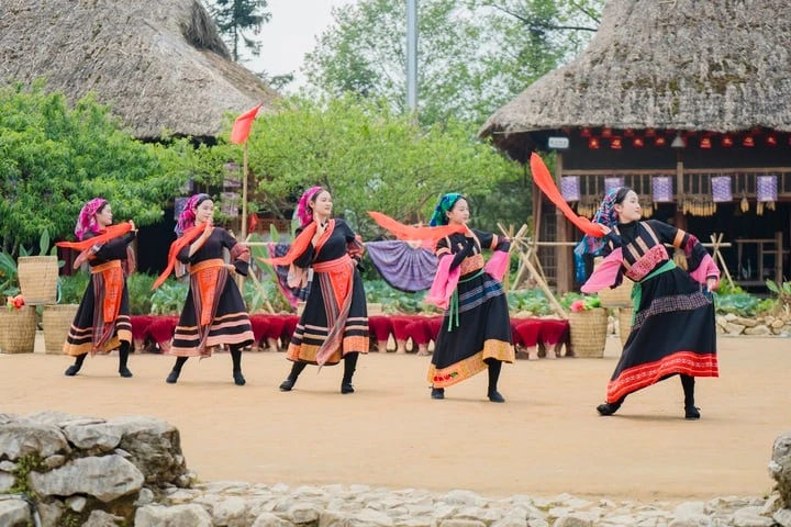 Sa Pa mùa lúa xanh: Chiêm ngưỡng 'tấm thảm xanh' mướt mắt giữa đại ngàn Sa Pa mùa lúa xanh: Chiêm ngưỡng 'tấm thảm xanh' mướt mắt giữa đại ngàn