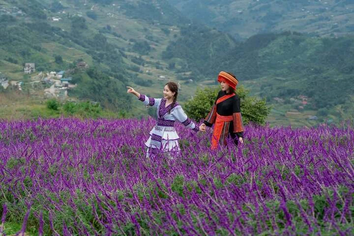 Sa Pa mùa lúa xanh: Chiêm ngưỡng 'tấm thảm xanh' mướt mắt giữa đại ngàn Sa Pa mùa lúa xanh: Chiêm ngưỡng 'tấm thảm xanh' mướt mắt giữa đại ngàn