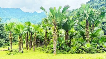 Sống cân bằng ở Khun