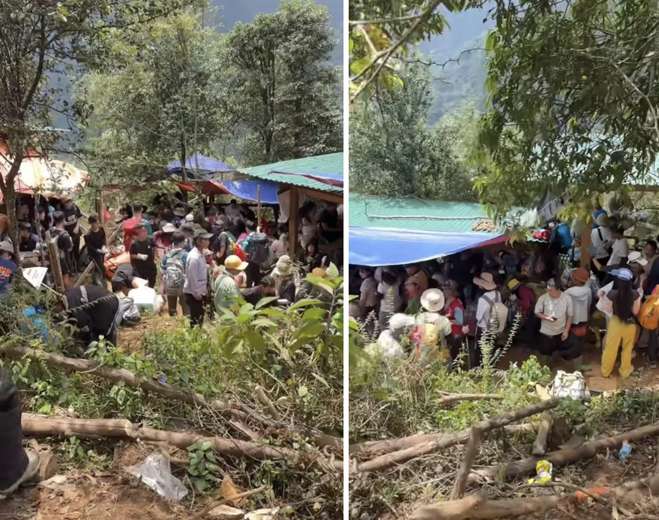 Tà Chì Nhù mùa hoa Chi Pâu 2026: Trải nghiệm trekking tuyệt vời giữa rừng núi Tà Chì Nhù mùa hoa Chi Pâu 2026: Trải nghiệm trekking tuyệt vời giữa rừng núi