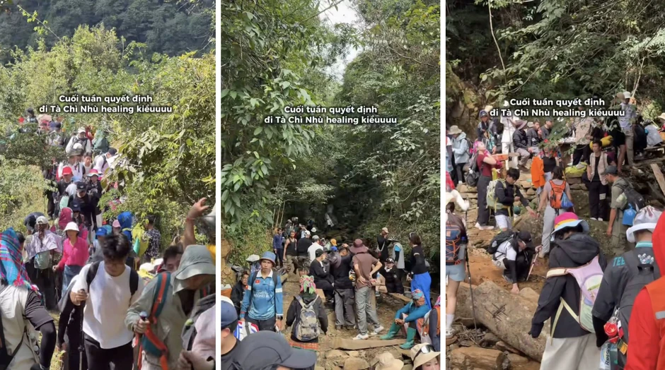 Tà Chì Nhù mùa hoa Chi Pâu 2026: Trải nghiệm trekking tuyệt vời giữa rừng núi Tà Chì Nhù mùa hoa Chi Pâu 2026: Trải nghiệm trekking tuyệt vời giữa rừng núi