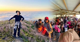 Tà Chì Nhù mùa hoa Chi Pâu 2026: Trải nghiệm trekking tuyệt vời giữa rừng núi