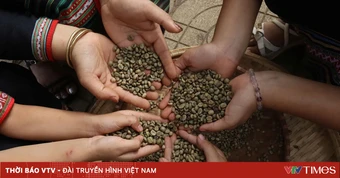 Tạp chí Mỹ gọi tên Buôn Ma Thuột trong top điểm đến ẩm thực thế giới