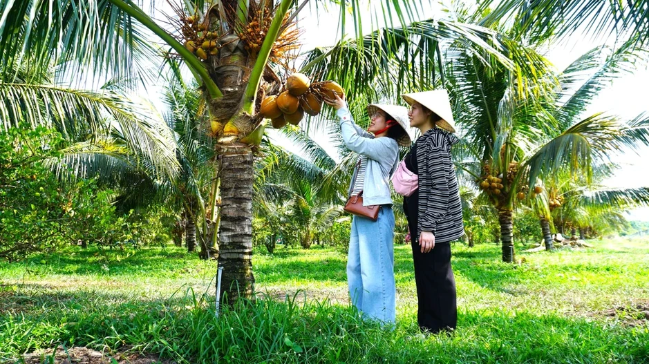 Tây Ninh thúc đẩy du lịch thể thao và chăm sóc sức khỏe để thu hút khách du lịch quốc tế Tây Ninh thúc đẩy du lịch thể thao và chăm sóc sức khỏe để thu hút khách du lịch quốc tế