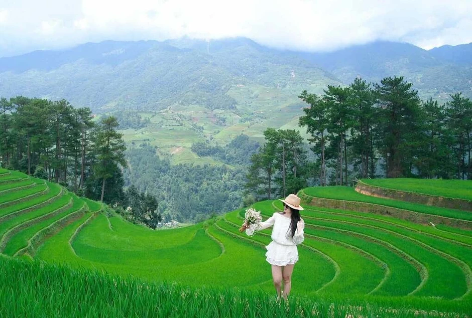 Thời điểm săn 'mùa vàng' ở các tỉnh miền núi phía Bắc Thời điểm săn 'mùa vàng' ở các tỉnh miền núi phía Bắc