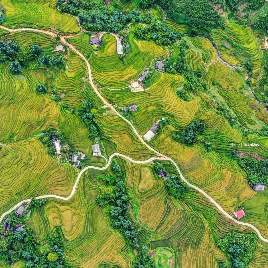 Thời điểm săn 'mùa vàng' ở các tỉnh miền núi phía Bắc Thời điểm săn 'mùa vàng' ở các tỉnh miền núi phía Bắc
