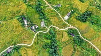 Thời điểm săn 'mùa vàng' ở các tỉnh miền núi phía Bắc
